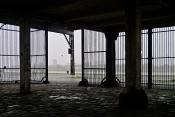 de schelde